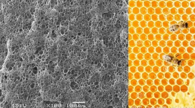 epp發泡聚丙烯的顯微結構，可以看到這是種連續閉孔結構，類似于蜂窩
